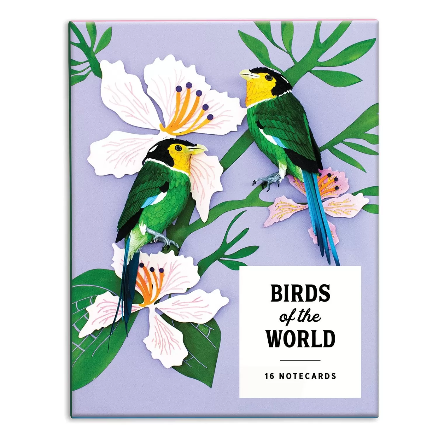 Greeting & Note Cards*Galison Birds Of The World Greeting Assortment Notecard Set