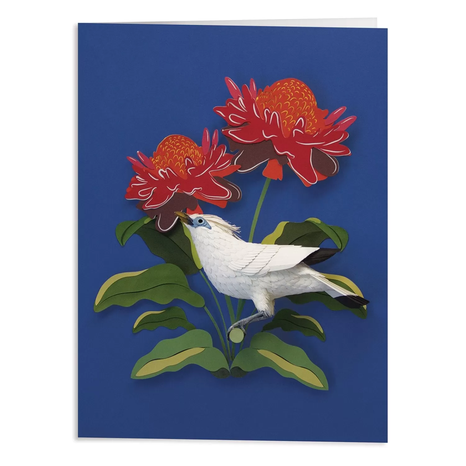 Greeting & Note Cards*Galison Birds Of The World Greeting Assortment Notecard Set