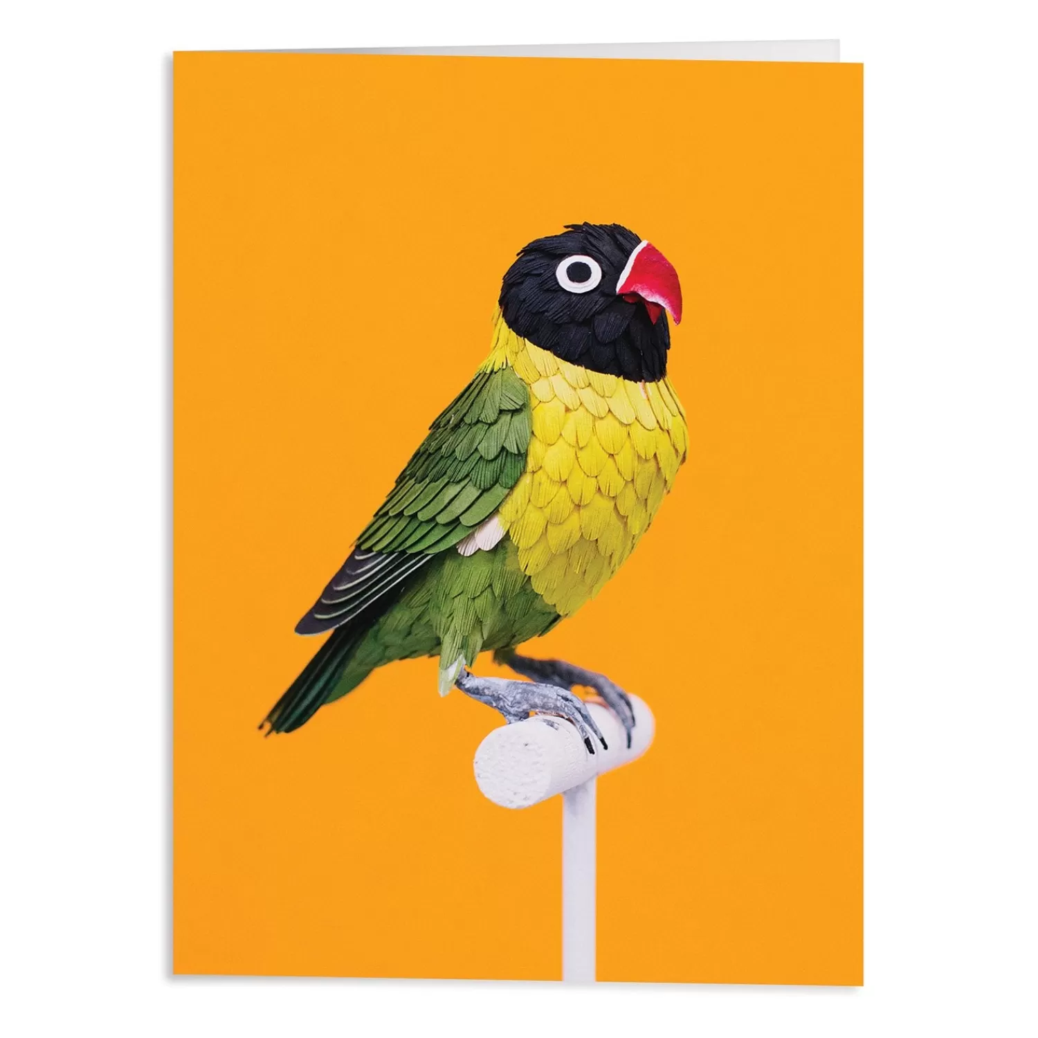 Greeting & Note Cards*Galison Birds Of The World Greeting Assortment Notecard Set