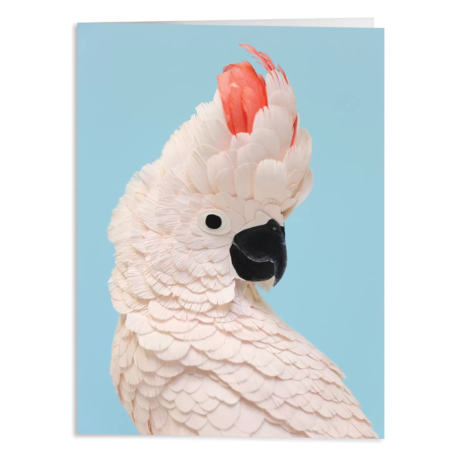 Greeting & Note Cards*Galison Birds Of The World Greeting Assortment Notecard Set
