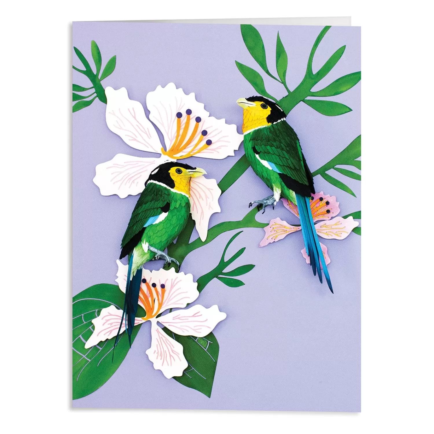 Greeting & Note Cards*Galison Birds Of The World Greeting Assortment Notecard Set