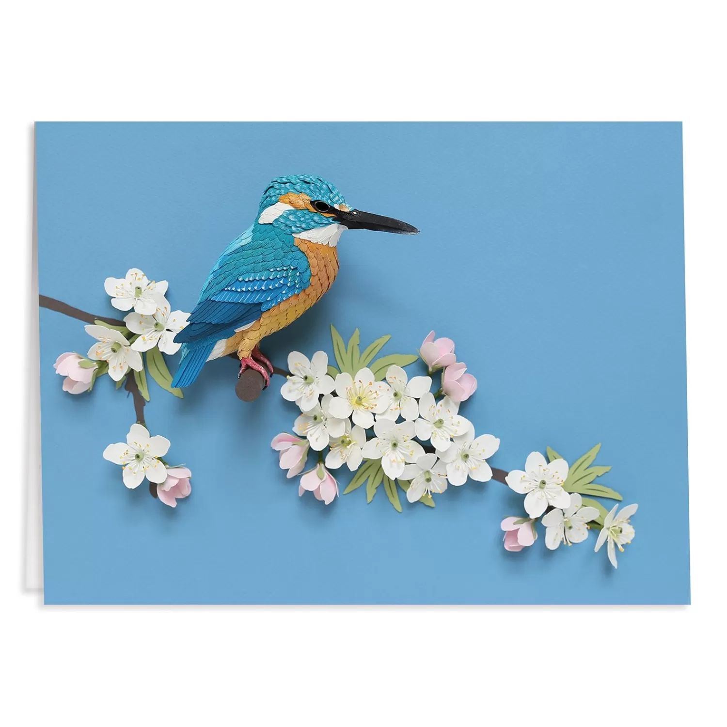 Greeting & Note Cards*Galison Birds Of The World Greeting Assortment Notecard Set