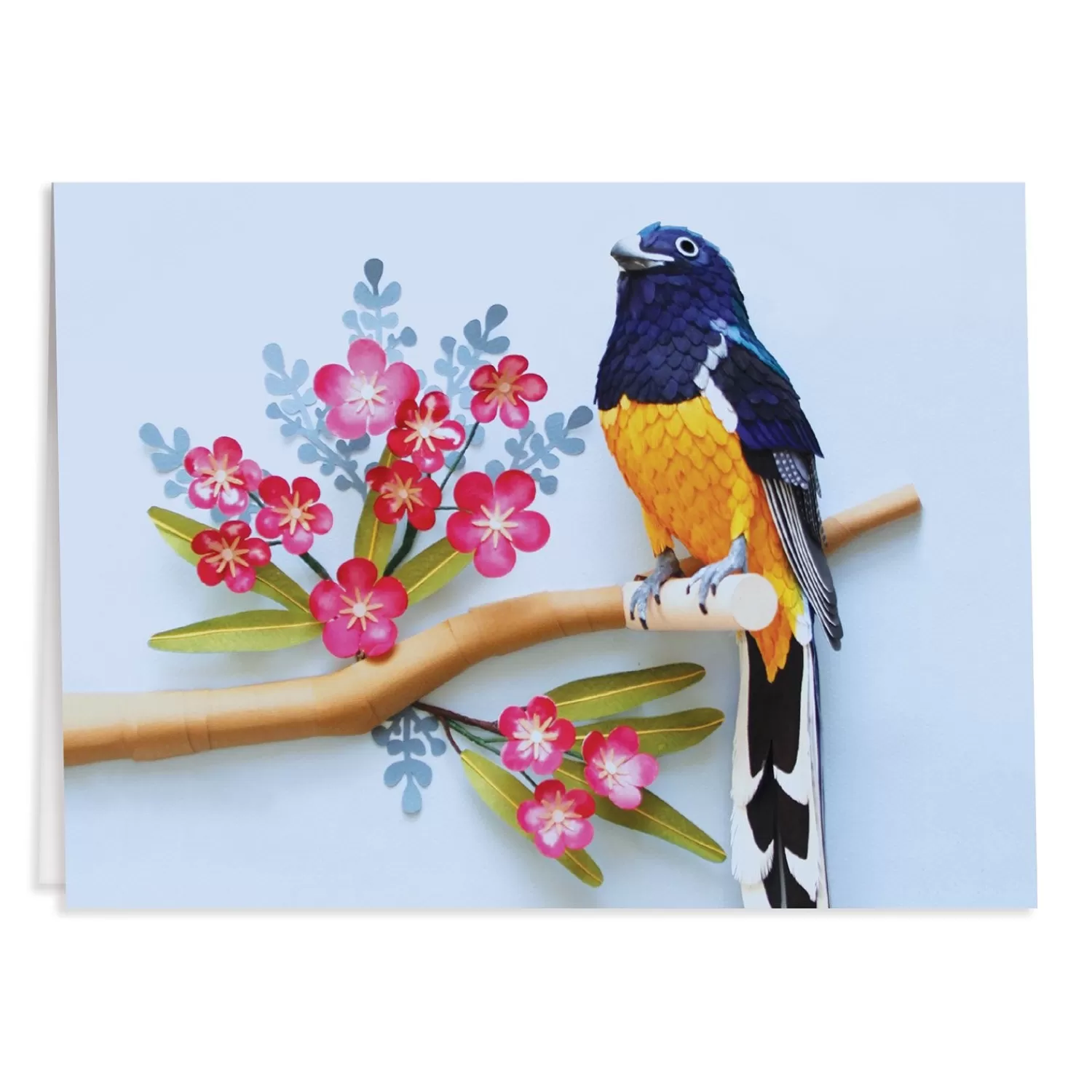 Greeting & Note Cards*Galison Birds Of The World Greeting Assortment Notecard Set
