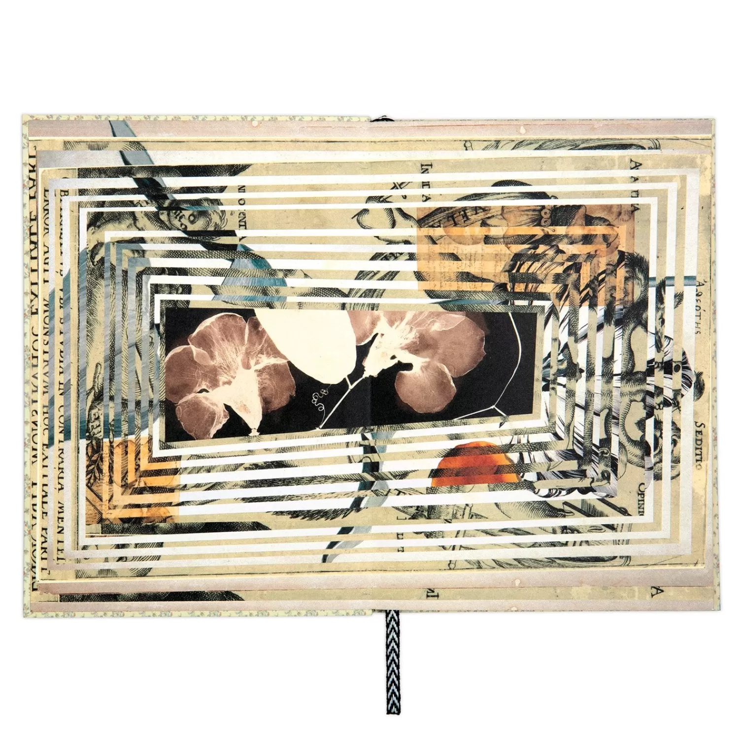 Journals & Notebooks*Galison Christian Lacroix Heritage Collection Curiosity A5 Softbound Notebook