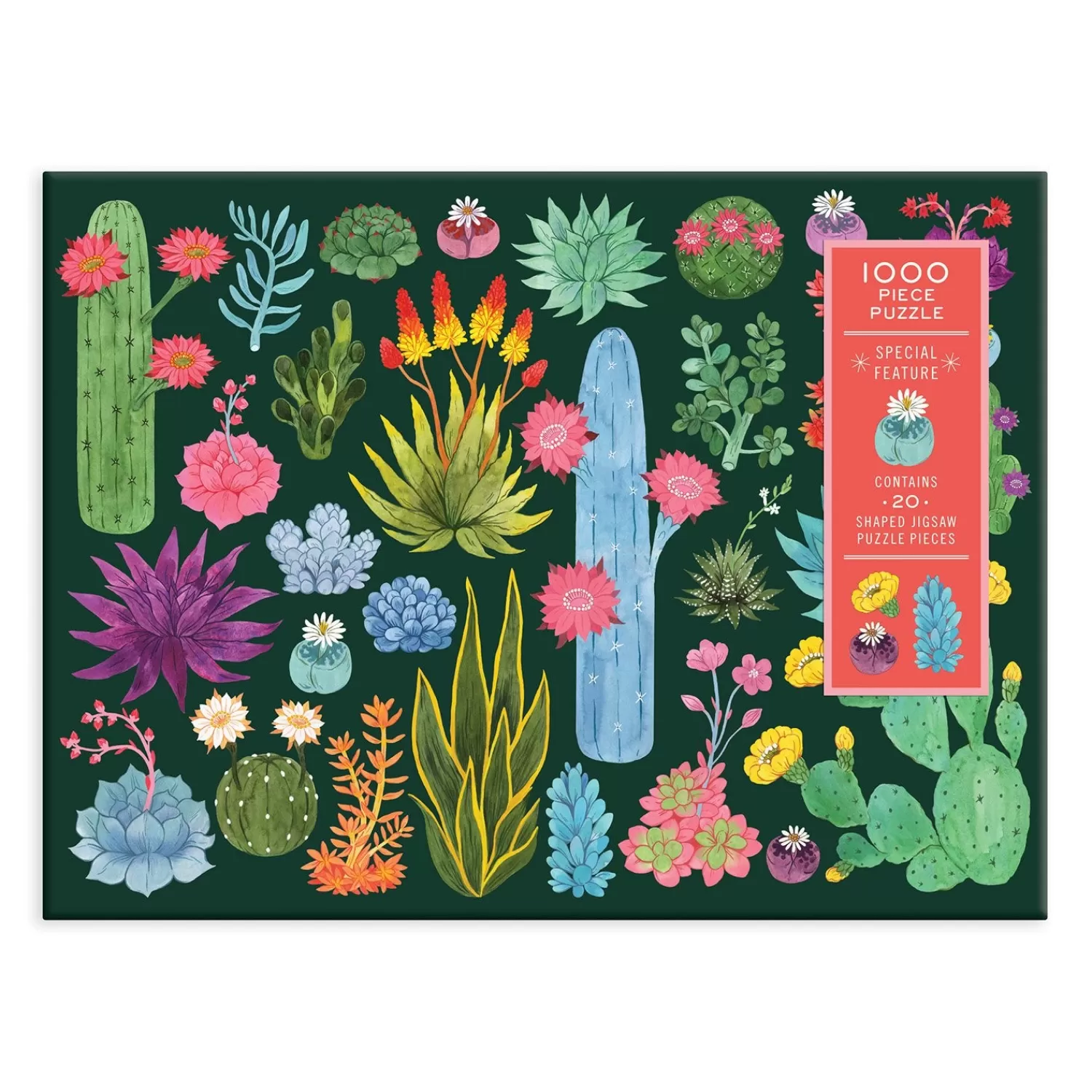 1000 Piece Puzzles*Galison Desert Flora 1000 Piece Jigsaw Puzzle With Shaped Pieces