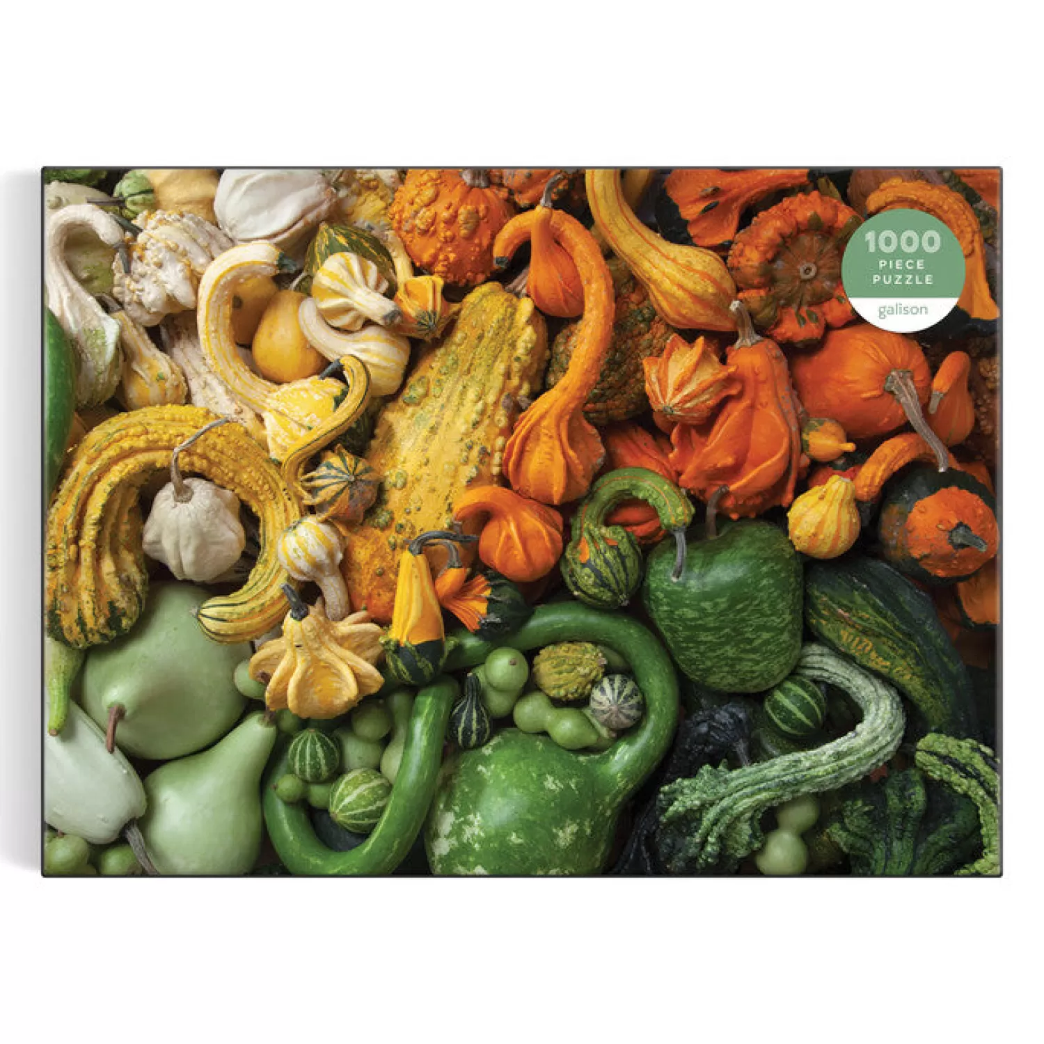 1000 Piece Puzzles*Galison Gourds 1000 Piece Puzzle