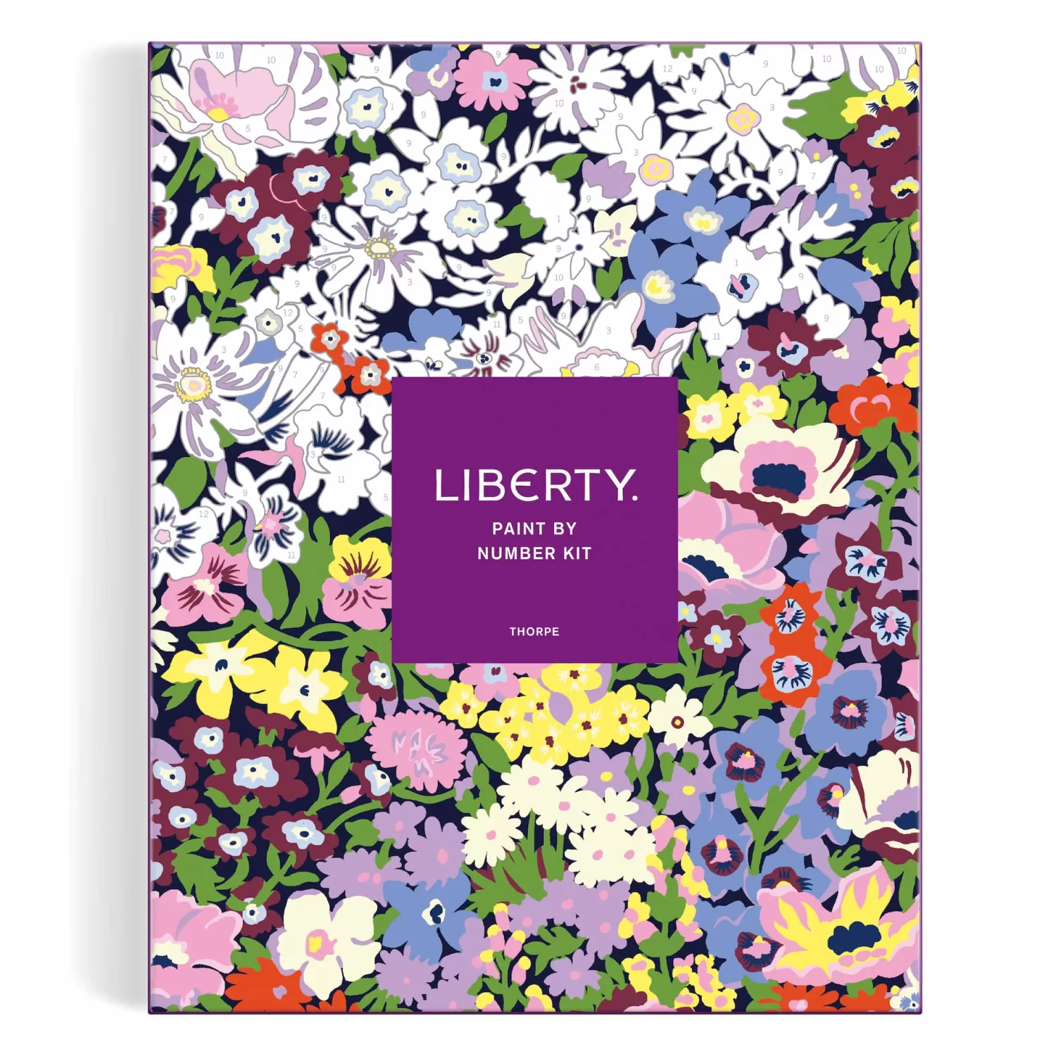 Paint By Number Kits*Galison Liberty Thorpe 11 X 14 Paint By Number Kit