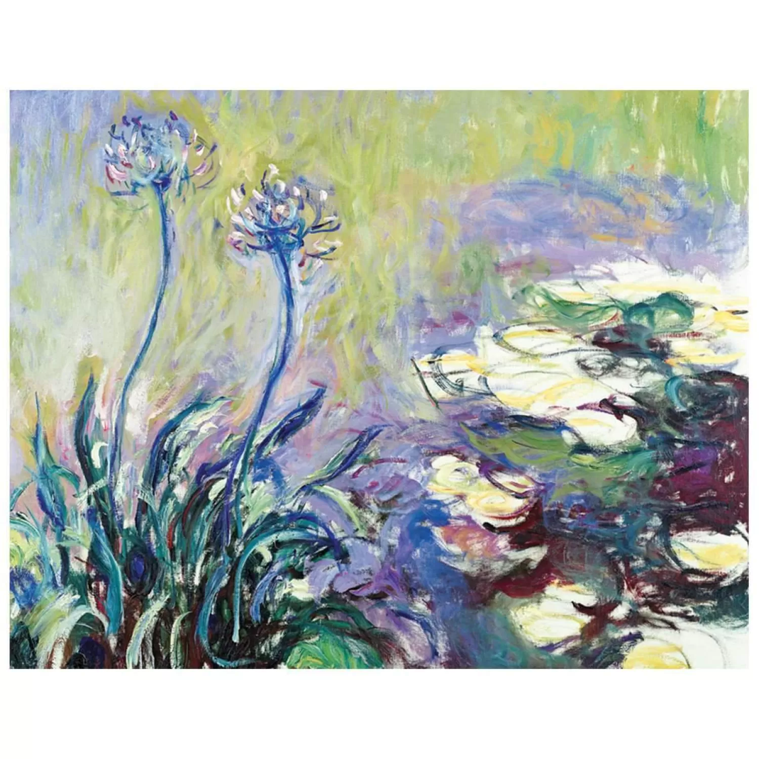 Greeting & Note Cards*Galison Monet Waterlily Garden Keepsake Box Note Cards