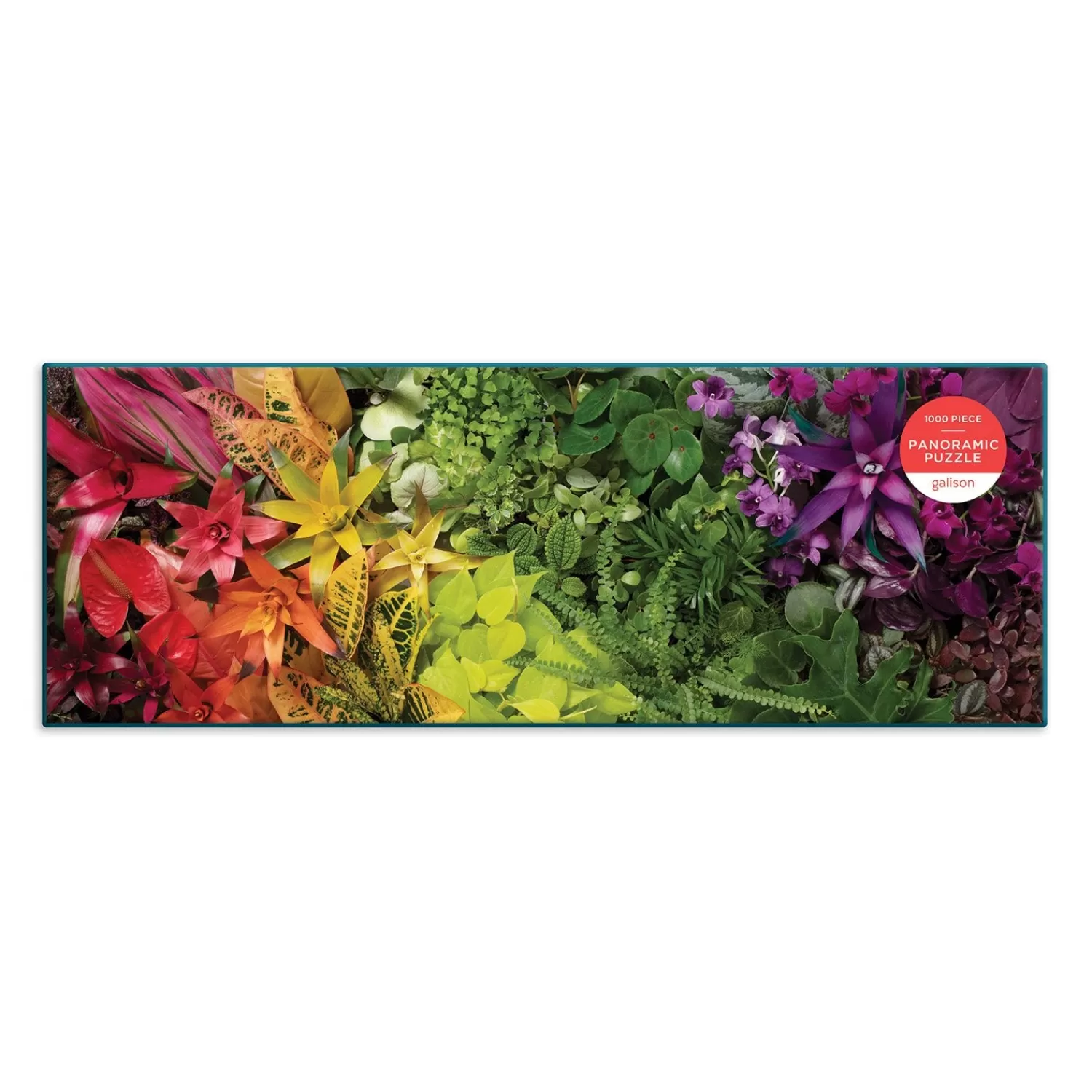 1000 Piece Puzzles*Galison Plant Life 1000 Piece Panoramic Jigsaw Puzzle