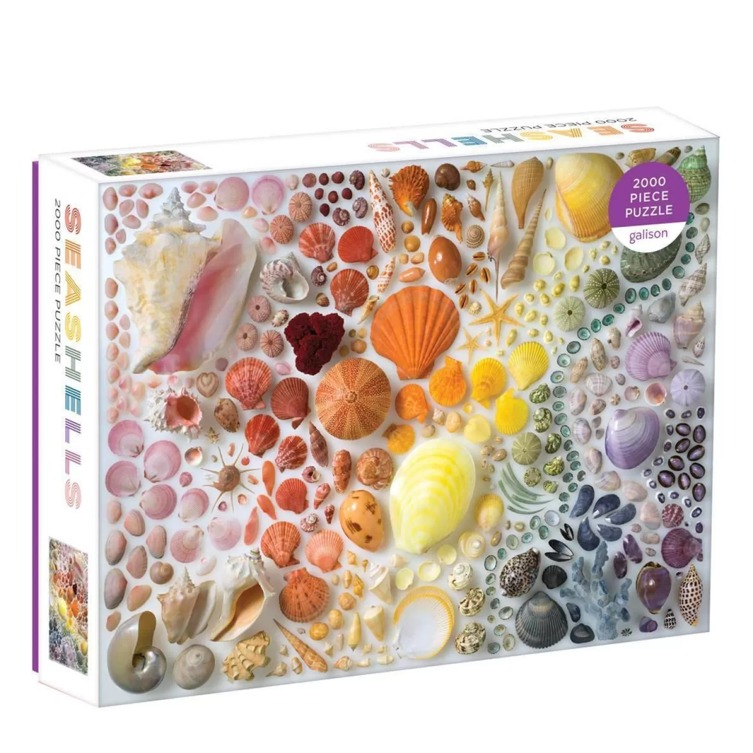 2000 Piece Puzzles*Galison Rainbow Seashells 2000 Piece Jigsaw Puzzle