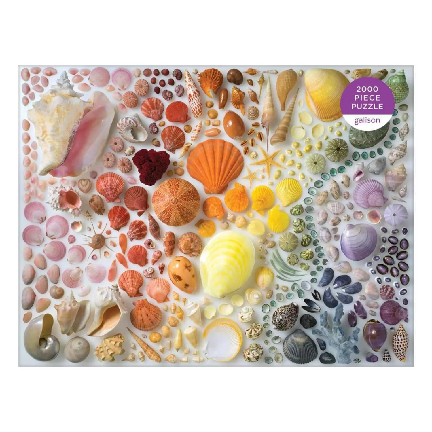 2000 Piece Puzzles*Galison Rainbow Seashells 2000 Piece Jigsaw Puzzle