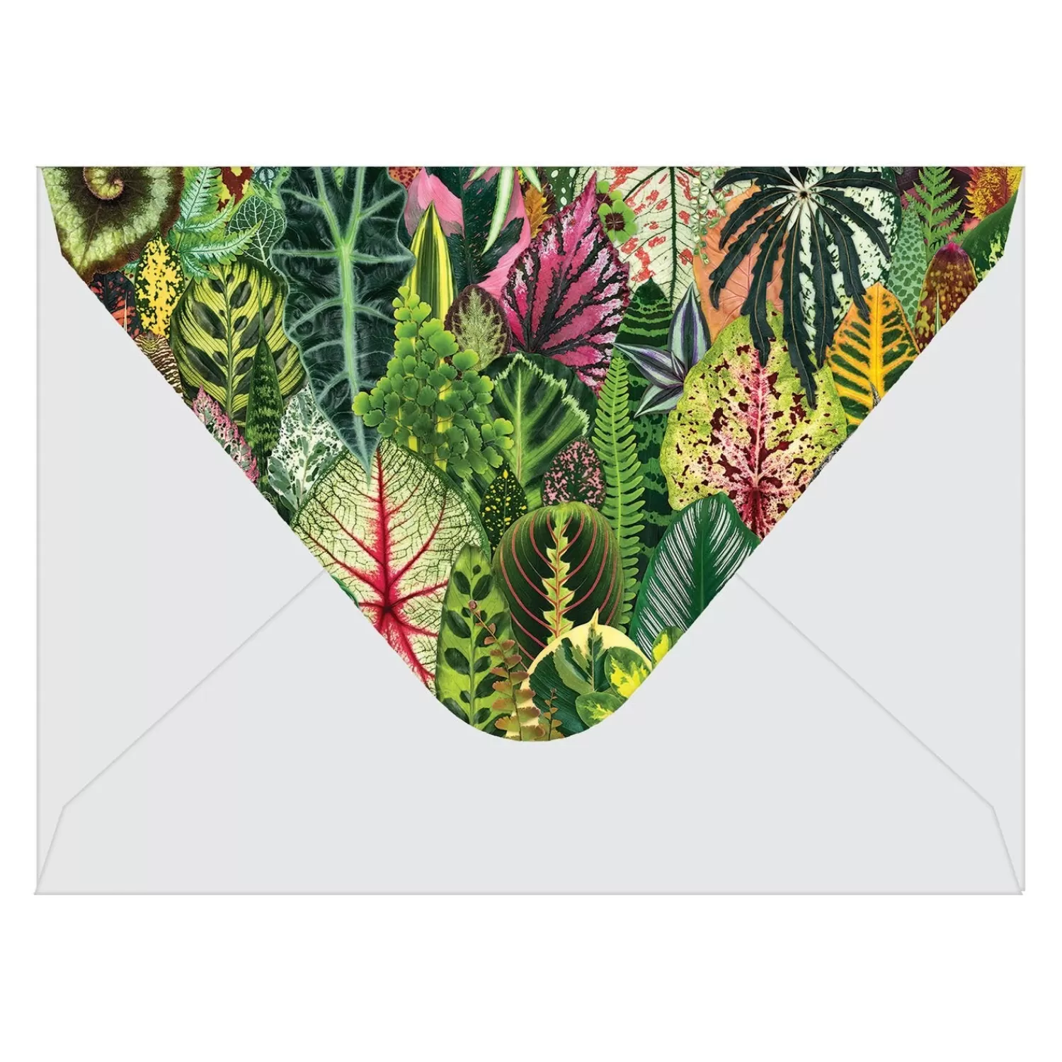 Greeting & Note Cards*Galison Troy Litten Houseplant Jungle Greeting Assortment Notecards