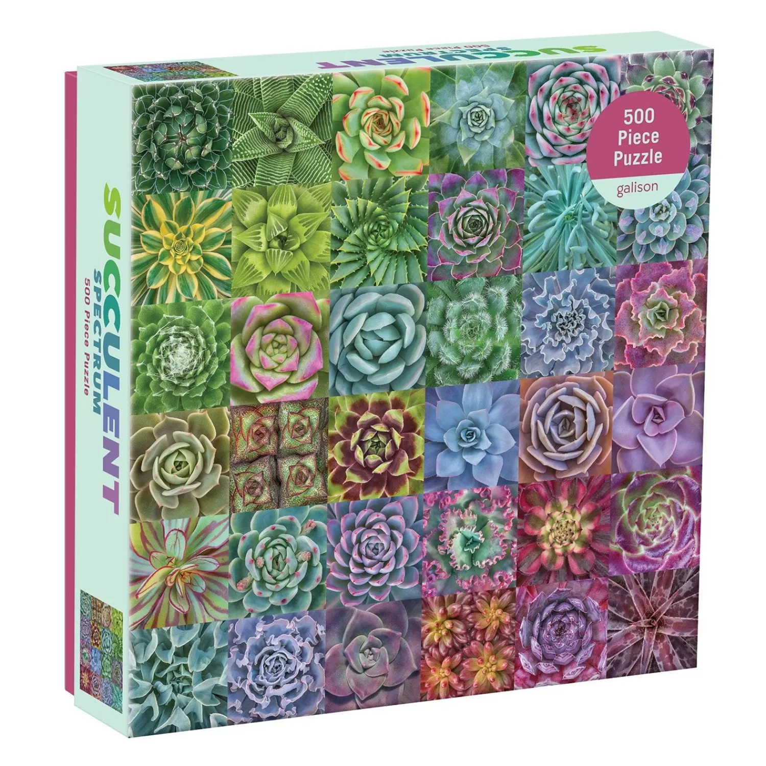 500 Piece Puzzles*Galison Troy Litten Succulent Spectrum 500 Piece Jigsaw Puzzle